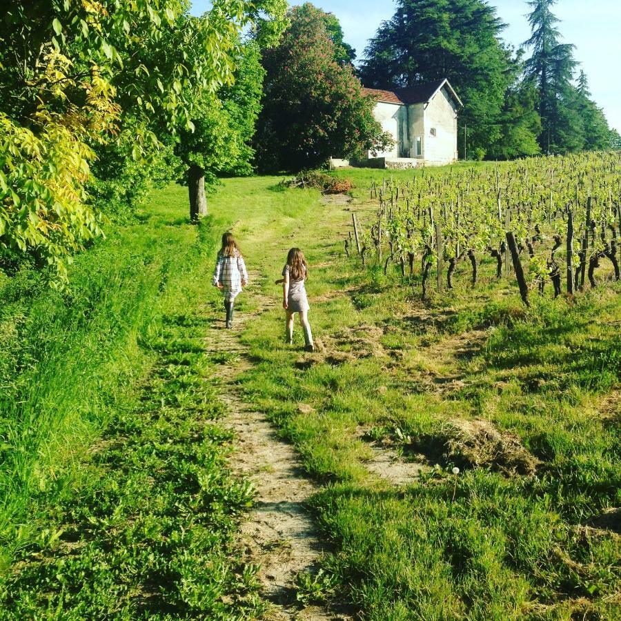 Chateau La Fontaine * Fronsac (Gironde)