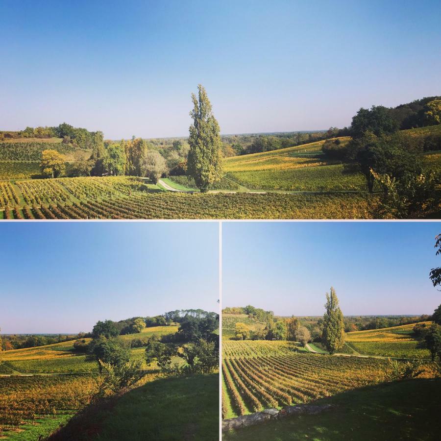 Chateau La Fontaine Hébergement de vacances *